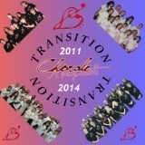 Transition 2011 2014